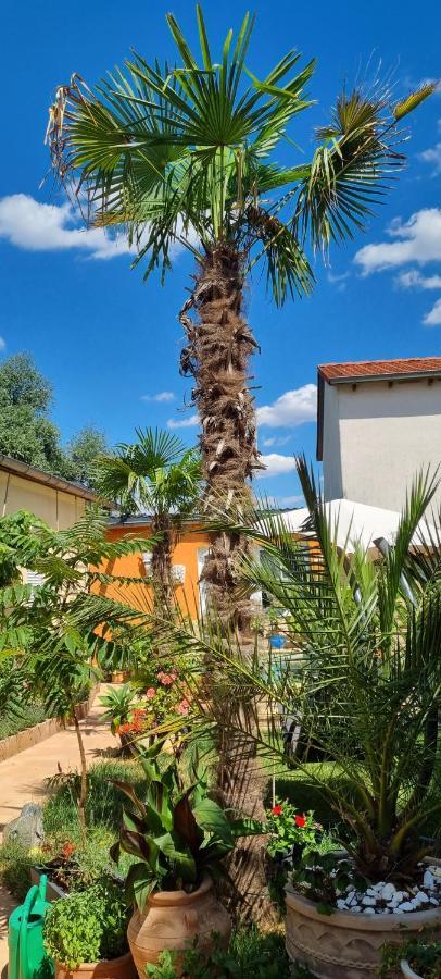 Grahl'S Ferienwohnung Маркранштедт Экстерьер фото